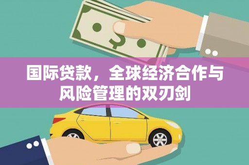 丹寨国际贷款，全球经济合作与风险管理的双刃剑