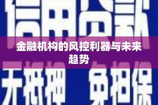 丹寨金融机构的风控利器与未来趋势