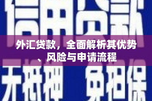 丹寨外汇贷款，全面解析其优势、风险与申请流程