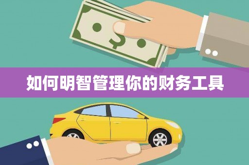 丹寨如何明智管理你的财务工具