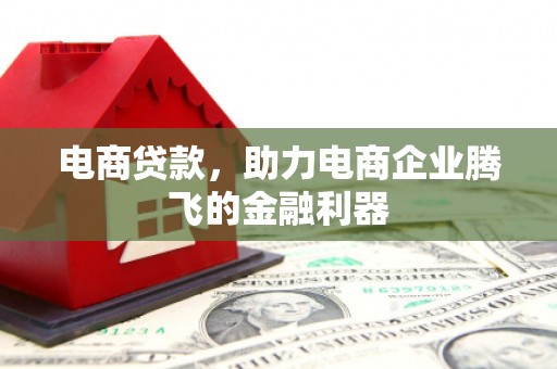 丹寨电商贷款，助力电商企业腾飞的金融利器