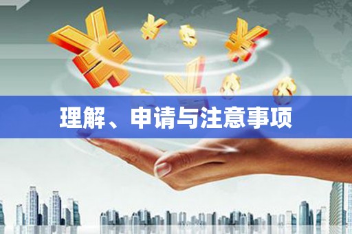 丹寨理解、申请与注意事项