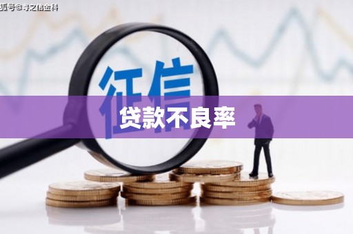 丹寨贷款不良率