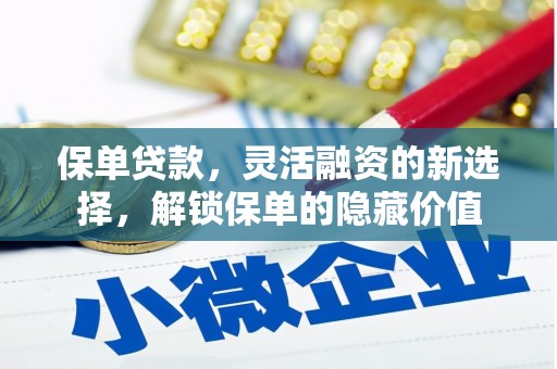 丹寨保单贷款，灵活融资的新选择，解锁保单的隐藏价值
