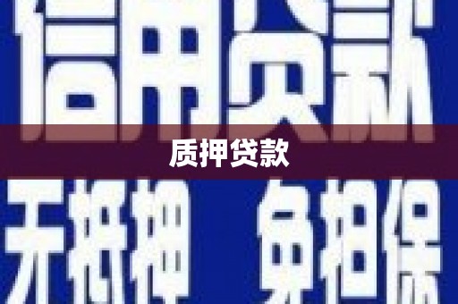 丹寨质押贷款