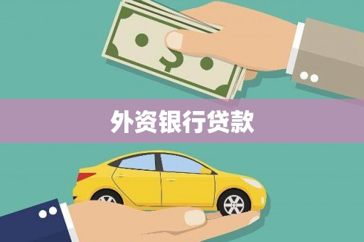 丹寨外资银行贷款