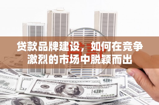 丹寨贷款品牌建设，如何在竞争激烈的市场中脱颖而出