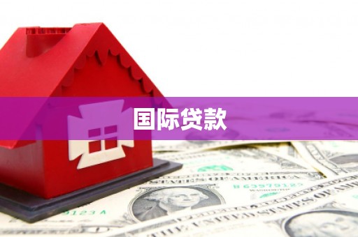 丹寨国际贷款
