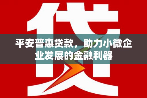 丹寨平安普惠贷款，助力小微企业发展的金融利器