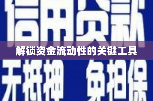 丹寨解锁资金流动性的关键工具