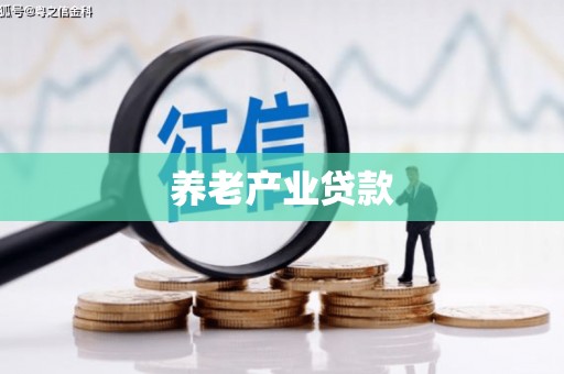 丹寨养老产业贷款