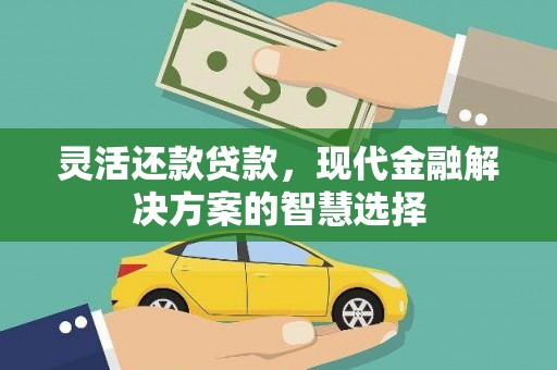 丹寨灵活还款贷款，现代金融解决方案的智慧选择