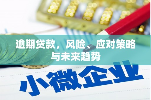 丹寨逾期贷款，风险、应对策略与未来趋势