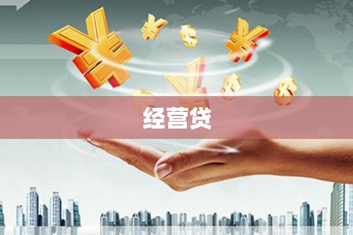 丹寨经营贷