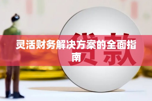 丹寨灵活财务解决方案的全面指南