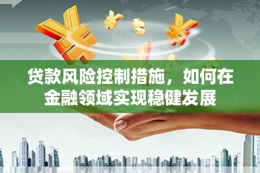 丹寨贷款风险控制措施，如何在金融领域实现稳健发展