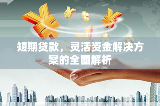 丹寨短期贷款，灵活资金解决方案的全面解析