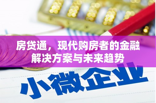 丹寨房贷通，现代购房者的金融解决方案与未来趋势