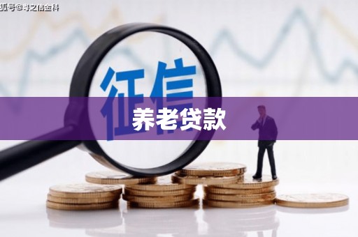 丹寨养老贷款