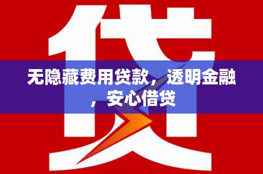 丹寨无隐藏费用贷款，透明金融，安心借贷