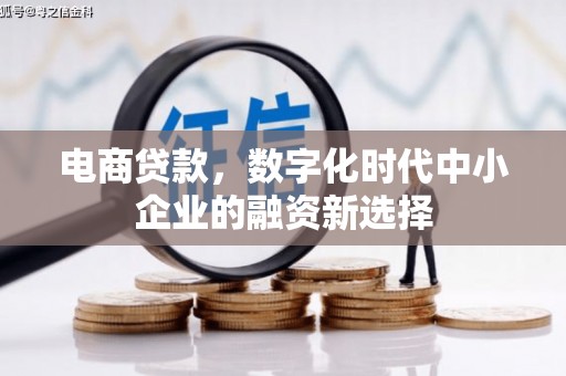 丹寨电商贷款，数字化时代中小企业的融资新选择