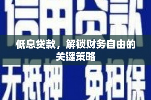 丹寨低息贷款，解锁财务自由的关键策略