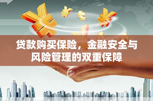 丹寨贷款购买保险，金融安全与风险管理的双重保障