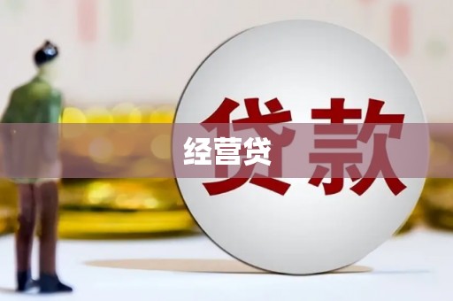 丹寨经营贷