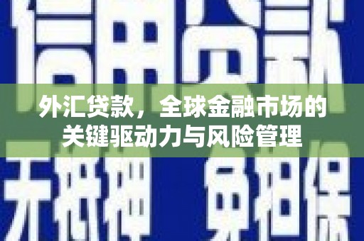 丹寨外汇贷款，全球金融市场的关键驱动力与风险管理