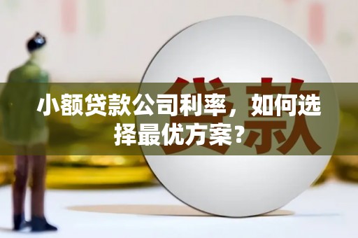 丹寨小额贷款公司利率，如何选择最优方案？