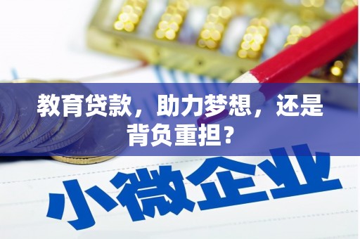 丹寨教育贷款，助力梦想，还是背负重担？