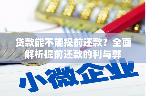 丹寨贷款能不能提前还款？全面解析提前还款的利与弊