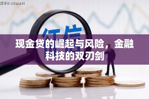 丹寨现金贷的崛起与风险，金融科技的双刃剑