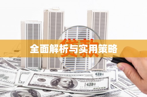 丹寨全面解析与实用策略
