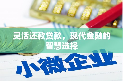 丹寨灵活还款贷款，现代金融的智慧选择