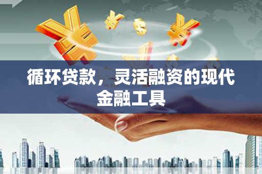 丹寨循环贷款，灵活融资的现代金融工具