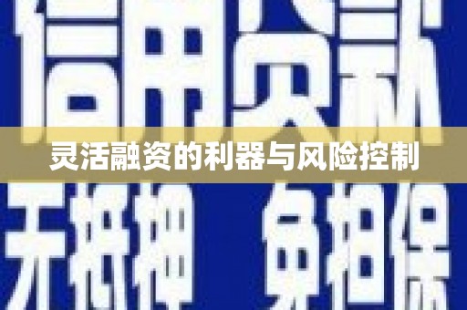 丹寨灵活融资的利器与风险控制