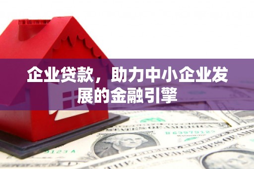 丹寨企业贷款，助力中小企业发展的金融引擎