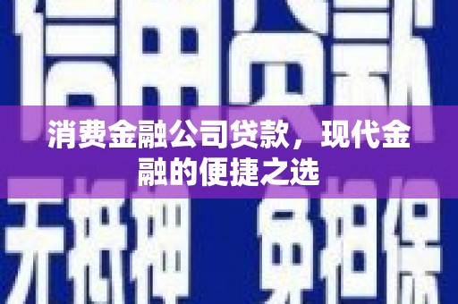 丹寨消费金融公司贷款，现代金融的便捷之选