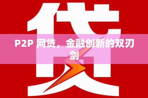丹寨P2P 网贷，金融创新的双刃剑