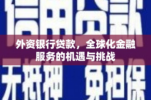 丹寨外资银行贷款，全球化金融服务的机遇与挑战