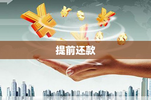 丹寨提前还款