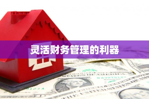 丹寨灵活财务管理的利器