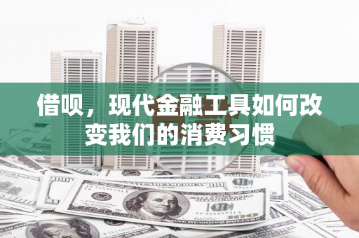 丹寨借呗，现代金融工具如何改变我们的消费习惯