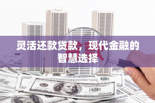 丹寨灵活还款贷款，现代金融的智慧选择