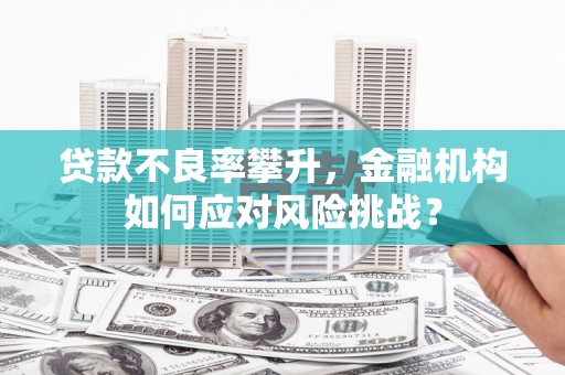 丹寨贷款不良率攀升，金融机构如何应对风险挑战？