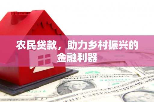 丹寨农民贷款，助力乡村振兴的金融利器