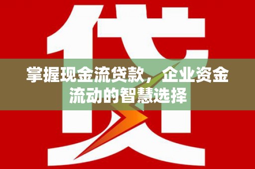丹寨掌握现金流贷款，企业资金流动的智慧选择