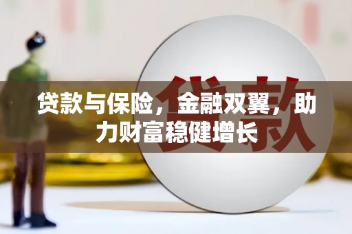 丹寨贷款与保险，金融双翼，助力财富稳健增长