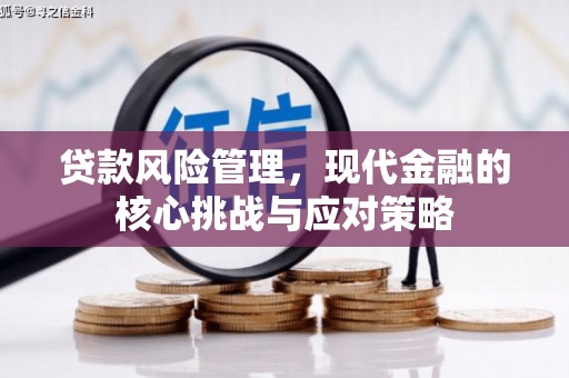丹寨贷款风险管理，现代金融的核心挑战与应对策略